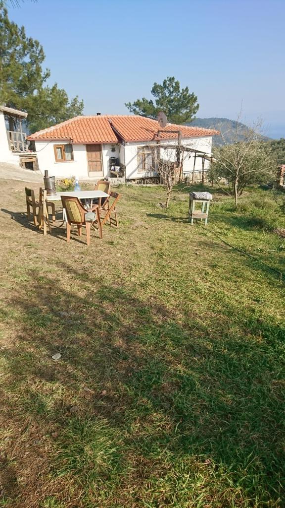 canakkale ayvacik kucukcetmi satilik 2 donum tarla kucukkuyu soz emlak