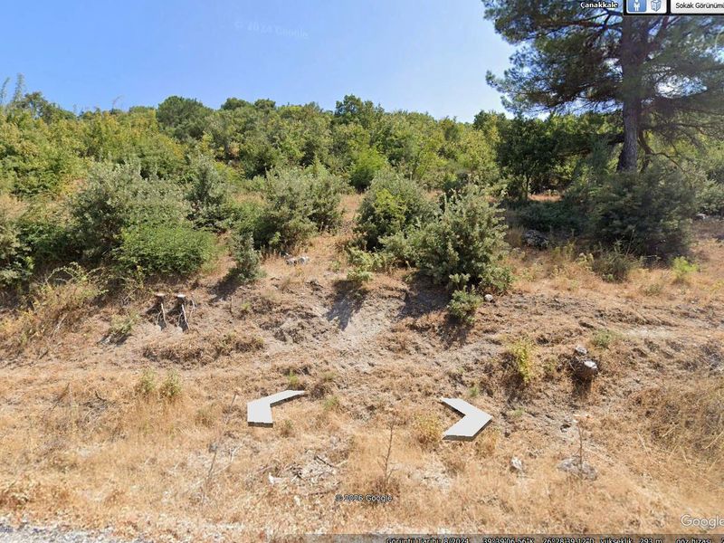 Çanakkale Ayvacık Akçin-Satılık 3041 m² Tarla