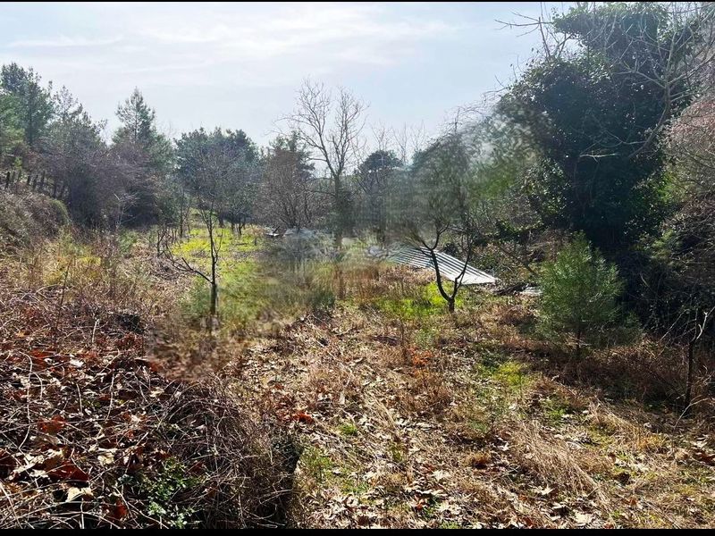 Çanakkale Ayvacık Baharlar-Satılık Dereye Cepheli 580 m² Bahçe