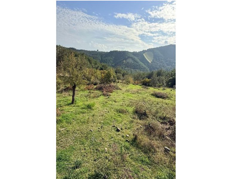 Çanakkale Ayvacık Çetmibaşı-Satılık 4459 m² Tarla