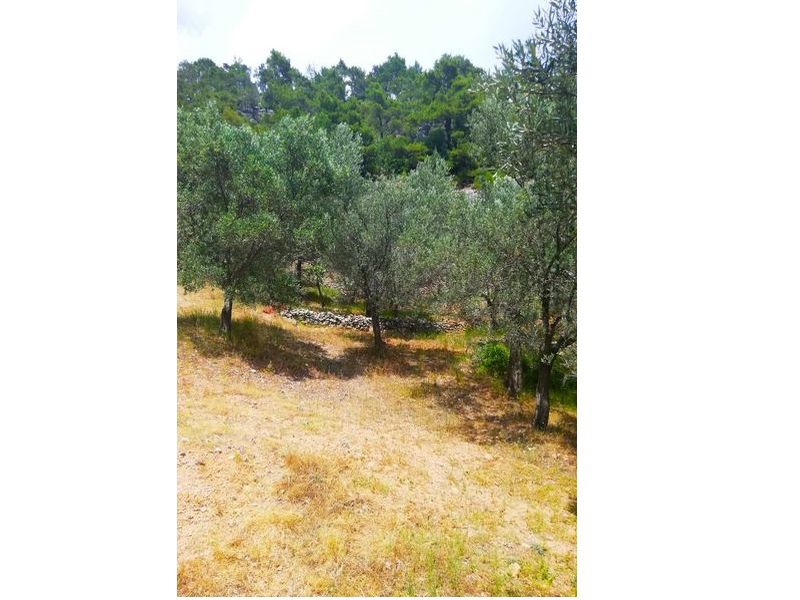 Çanakkale Ayvacık Bahçedere-Satılık 522 m² Zeytinlik