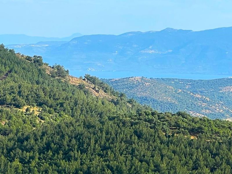 Çanakkale Ayvacık Şapköy-Satılık 20.964 m² Eko Turizm İmarlı Arsalar
