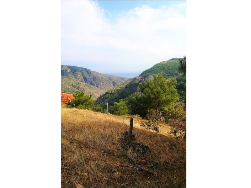 Çanakkale Ayvacık Arıklı-Satılık Köy İmarlı Bahçe