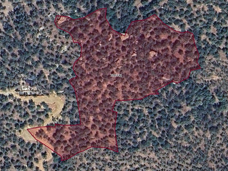 Çanakkale Ayvacık Ahmetçe-Satılık Deniz Manzaralı 13.449 m² Zeytinlik